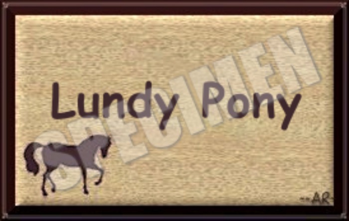LUNDY PONY SIGN