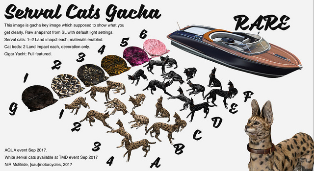[sau]Catbed[G5]