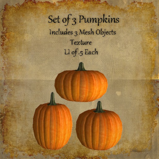Bad Katz Pumpkin Set
