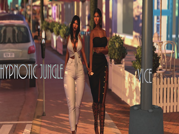 {HJ}Vice