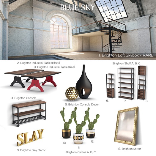 [-BLUE SKY-] Brighton Cactus A