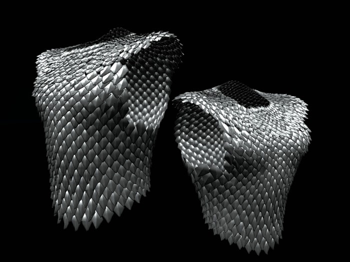 Simple Scalemail