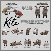 KITE - Sweater Weather - Rolling