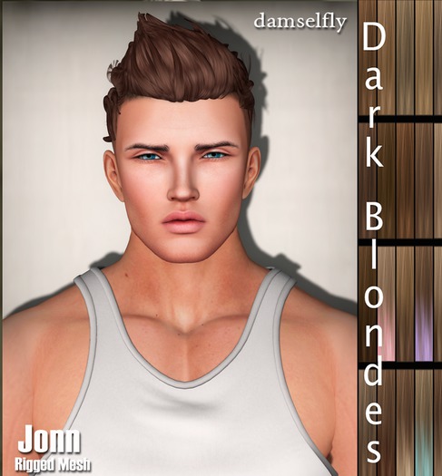 *~*Damselfly*~*Jonn Dark Blondes