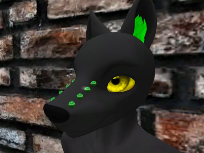 Paws Canine 2.0 Piercings (bridge/non-linked)