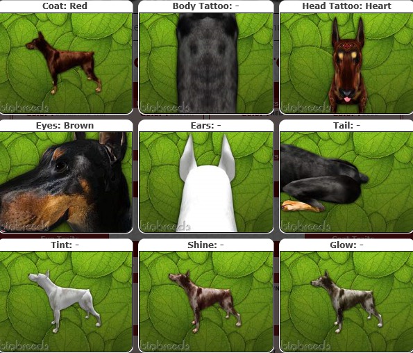 BB MinPin Box