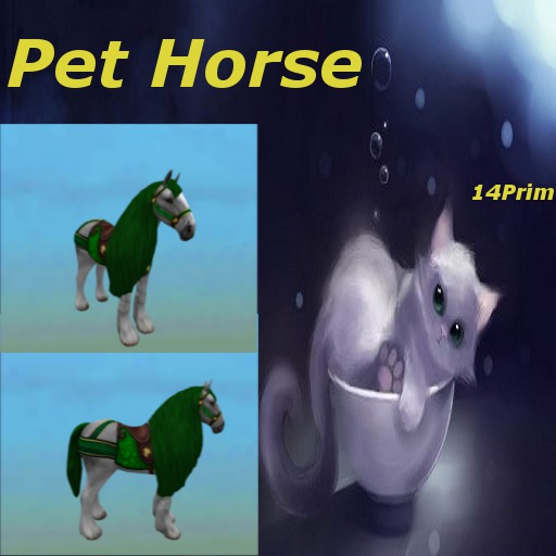 Pet Horse