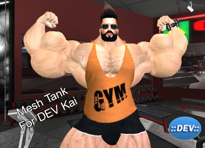 [D.Cavalieri] Kai Gym Orange Tank