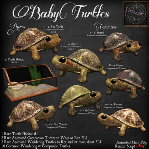 9. *HEXtraordinary* Baby Painted Turtle Wanderer