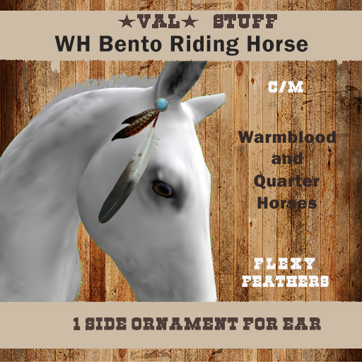 >VAL< WH -1 Side Native Ornament Ear