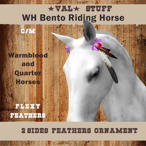 >VAL< WH -2 Sides Native Ornament Ear