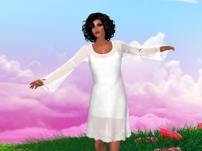 Embroidered Organza Overlay Dress White
