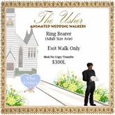 Ring Bearer Adult Wedding Walk - Exit Walk
