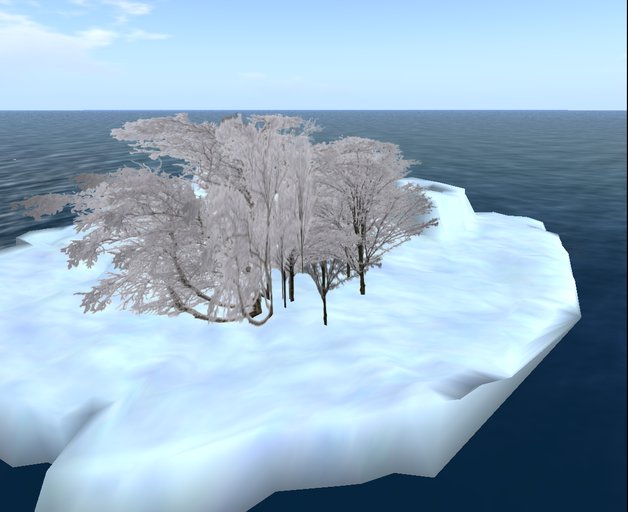 winter bush1