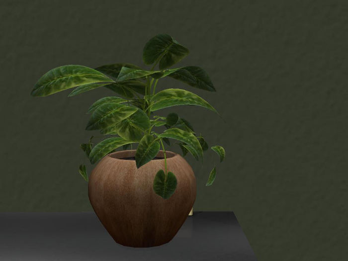Small Table Plant