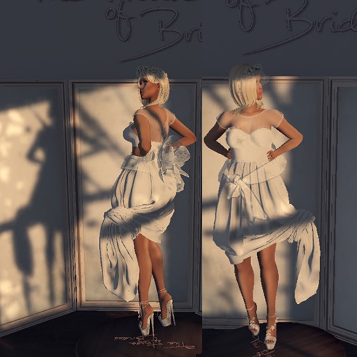 Mikunch Wedding Dress -Blancheur-tucked up RARE-Maitreya