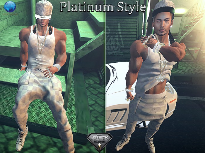 {RC}Platinum Men Style Aesthetic