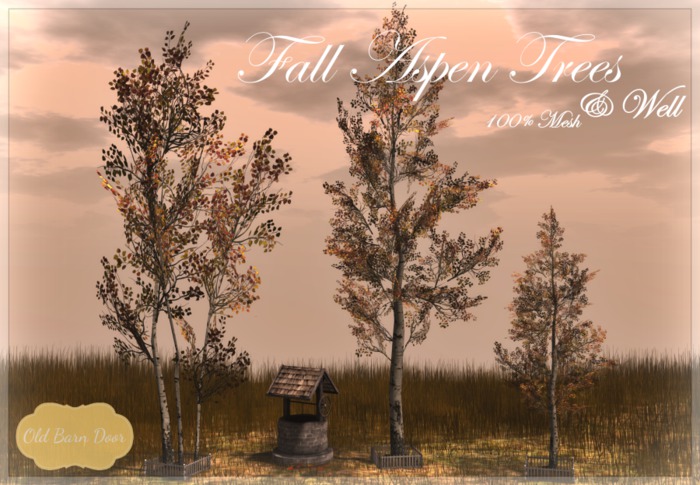 {OBD} FALL ASPENS & WISHING WELL