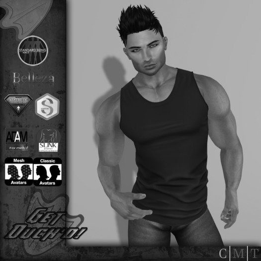 GD - DEMO TANK - Fitted Mesh