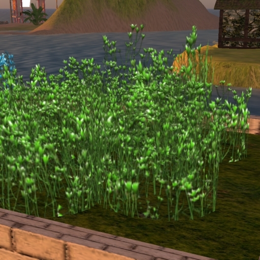 Sculpted flower patches - Green