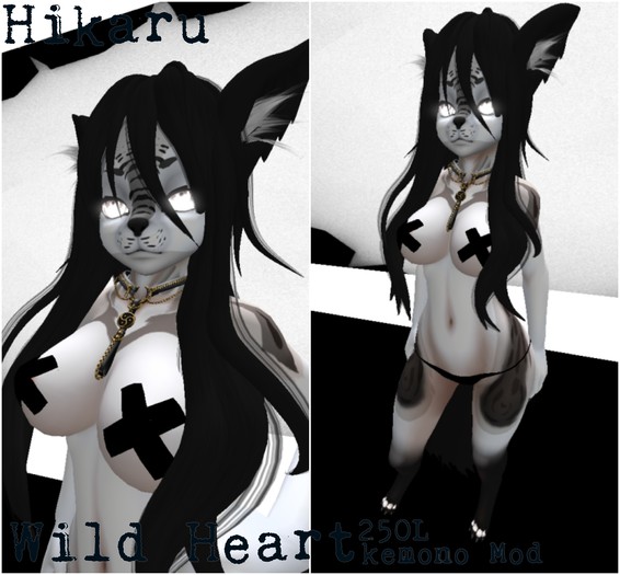 BV : Wild Heart : Hikaru : BOXED