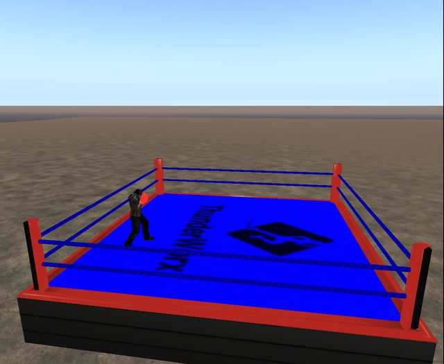 Thunderworx Boxing Arena