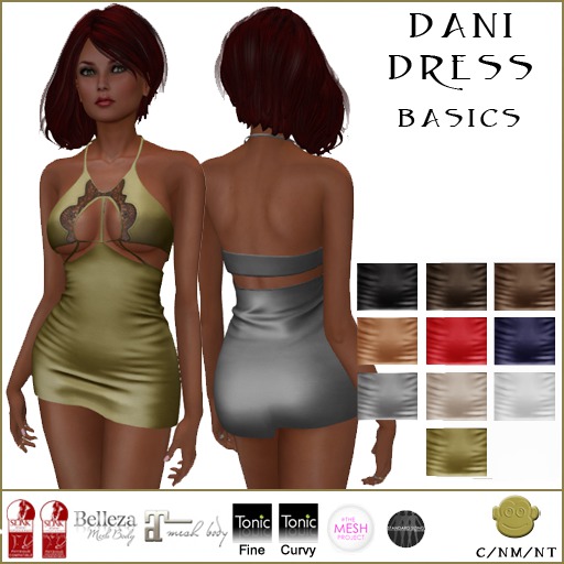 BM Dani Dress Basics