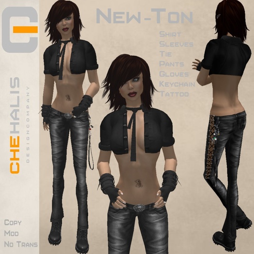 Chehalis New-Ton
