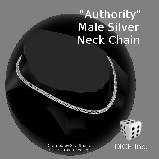 Male Neck Chain Silver/Platinum