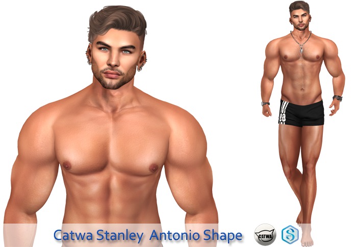 Catwa Stanley Shape Antonio "WEAR"