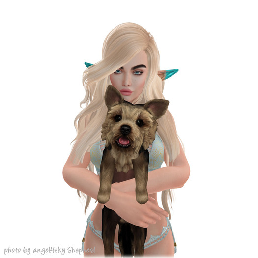 JIAN Pupper Parlor 15. Black Held BOX