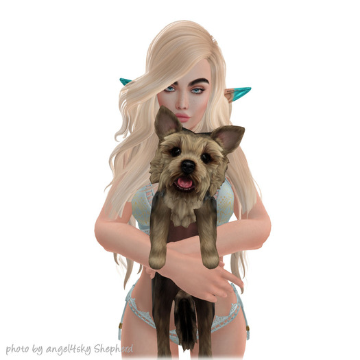 JIAN Pupper Parlor 17. Silver Held BOX