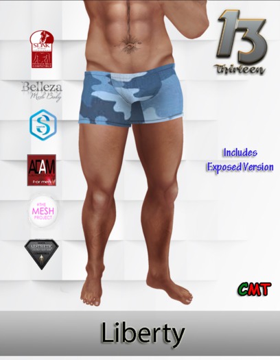 .:13:. - (ADD ME) LIBERTY Men's Mesh Brief with Bulge