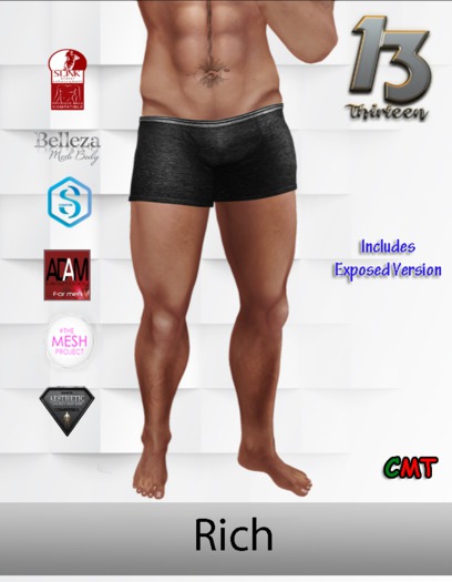 .:13:. - (ADD ME) RICH Men's Mesh Brief with Bulge