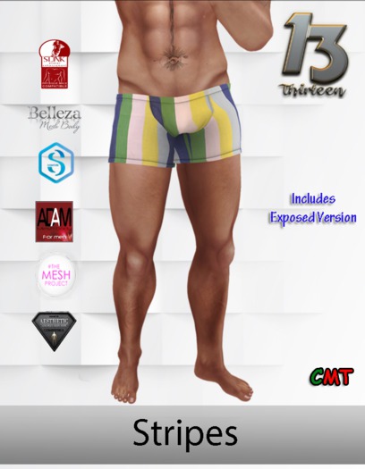 .:13:. - (ADD ME) STRIPES Men's Mesh Brief with Bulge