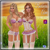 CB~Barbara Ann purple daisy
