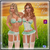 CB~Barbara Ann sea daisies