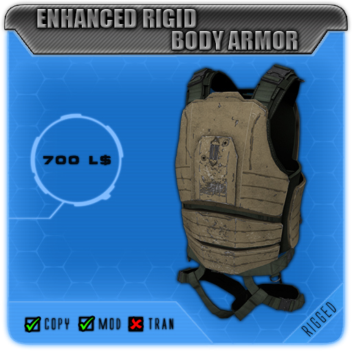 Enhanced Rigid Body Armor (Male)