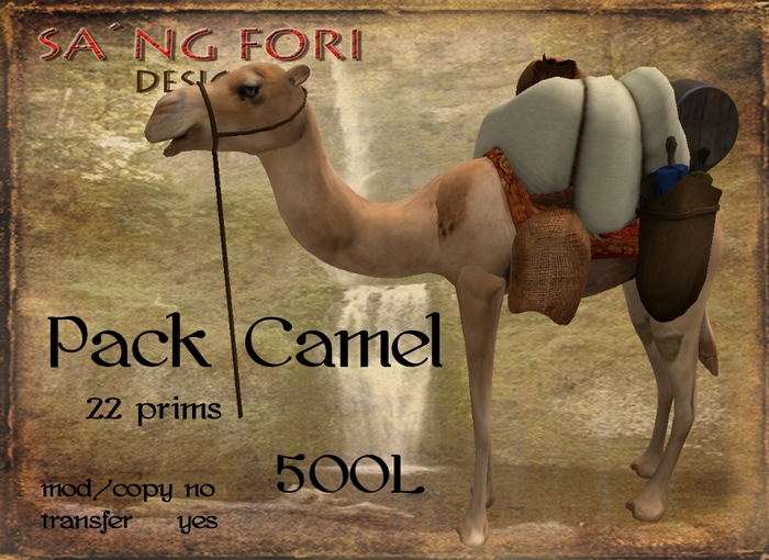 Pack Camel