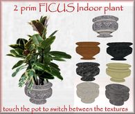 2 prim FICUS with  texture change pot