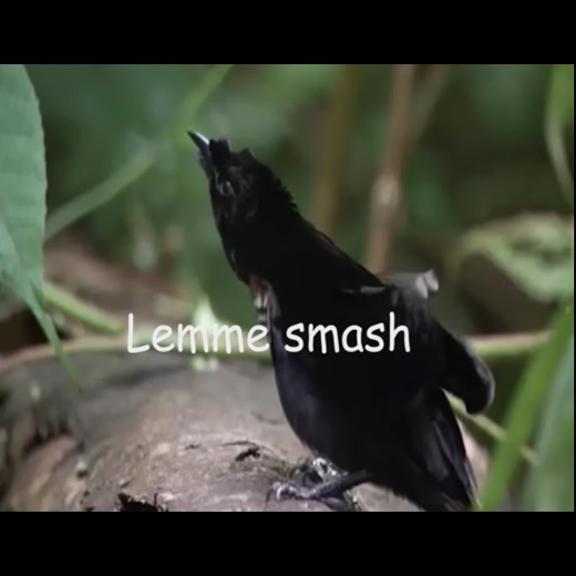 [Seducing Debby] Wot 2