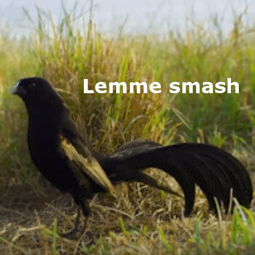 [Smash Final Mix] Get that beak ready
