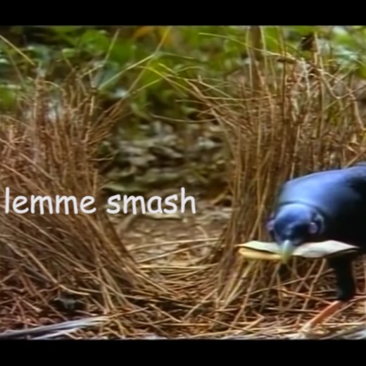 [Smash Ft. Ben] Is that you