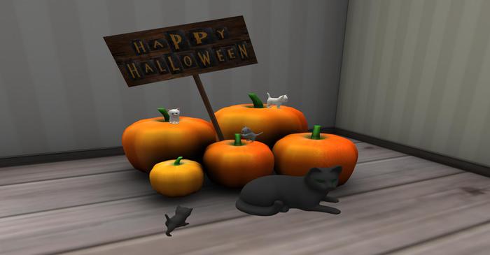 Kittie Family w/pumpkins (Box)