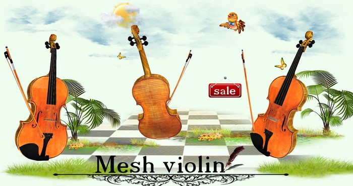 Violin
