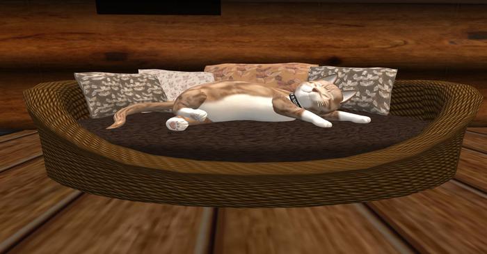 Autumn Promises Cat Bed