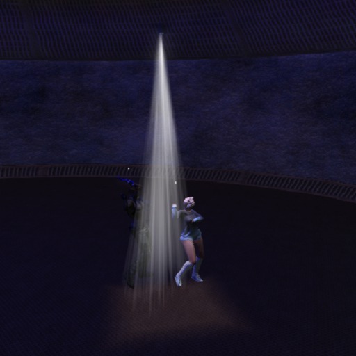 Second Life Marketplace Single Canister Spotlights