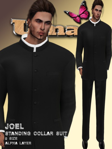 Joel standing collar suit