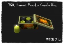 TGD: Product Bag Harvest Pumkin Candle Box