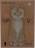 KittyCatS Box - Burmilla - Red Silver Shaded